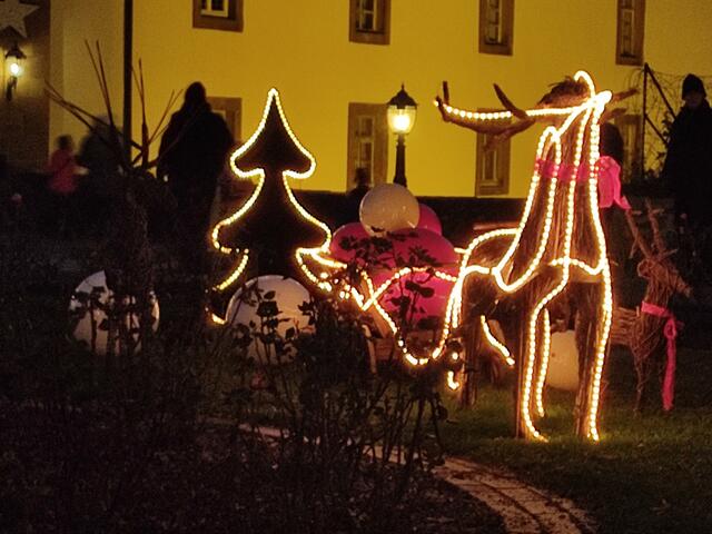 Die Burg bei Nacht | Foto: Daniela Somers