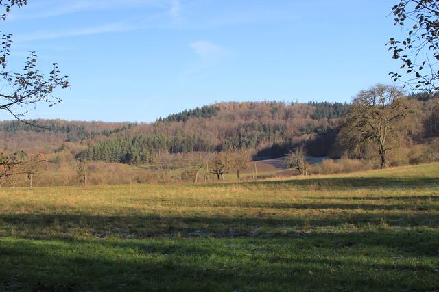 Ausblick | Foto: Ralf Röser