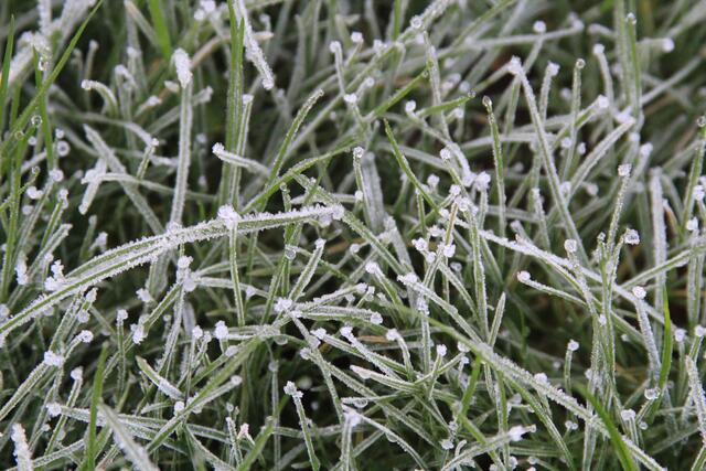 Frostig | Foto: Ralf Röser