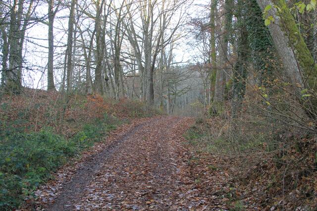 da rauf | Foto: Ralf Röser