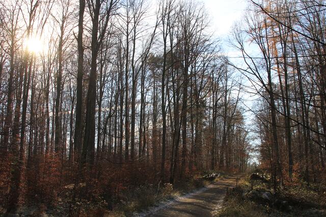 so schön | Foto: Ralf Röser