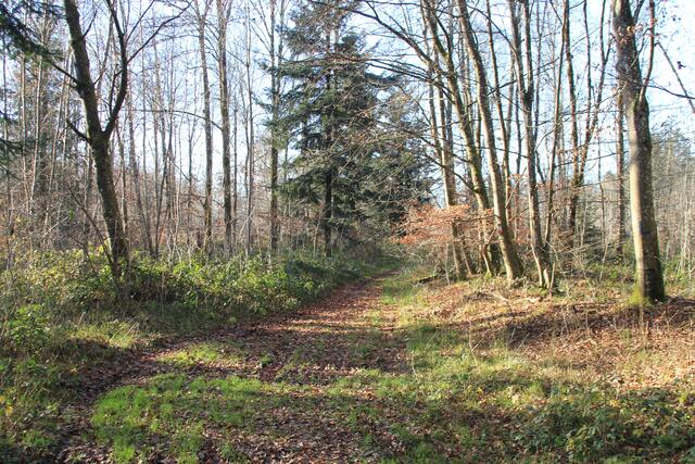 da rein | Foto: Ralf Röser