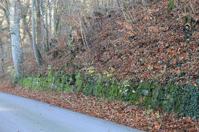 schöne Mauer | Foto: Ralf Röser