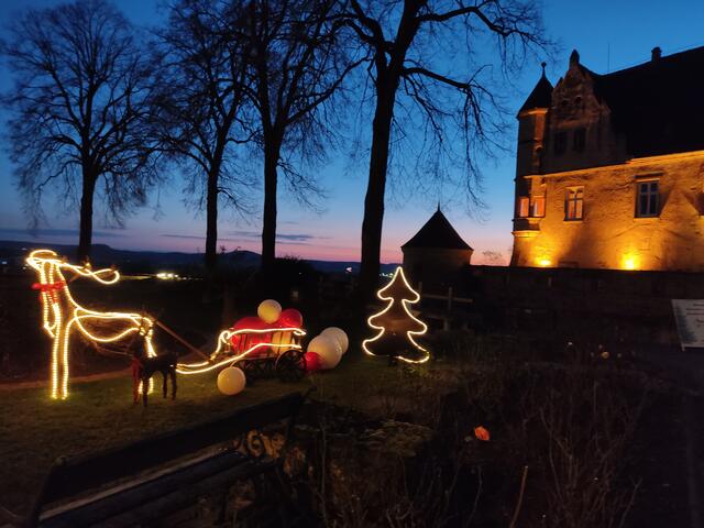 Die Burg bei Nacht | Foto: Daniela Somers