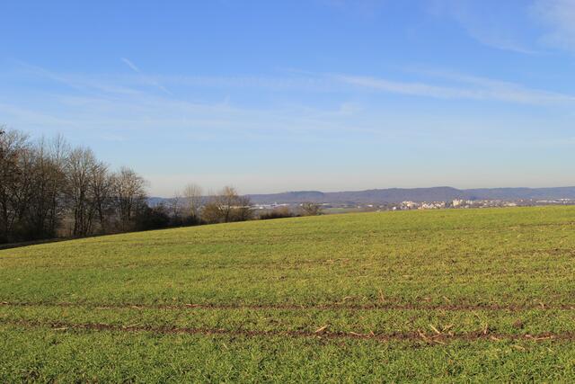 Ausblicke | Foto: Ralf Röser