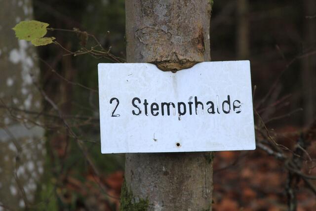 Info | Foto: Ralf Röser