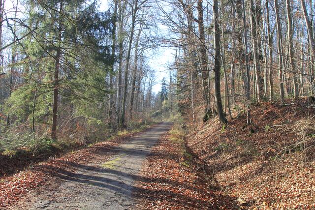 und weiter | Foto: Ralf Röser
