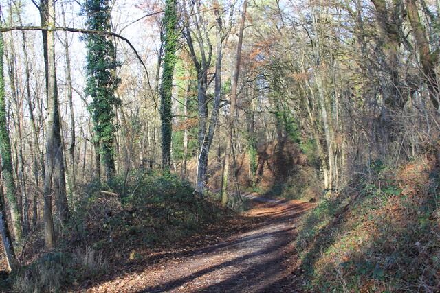 da runter | Foto: Ralf Röser