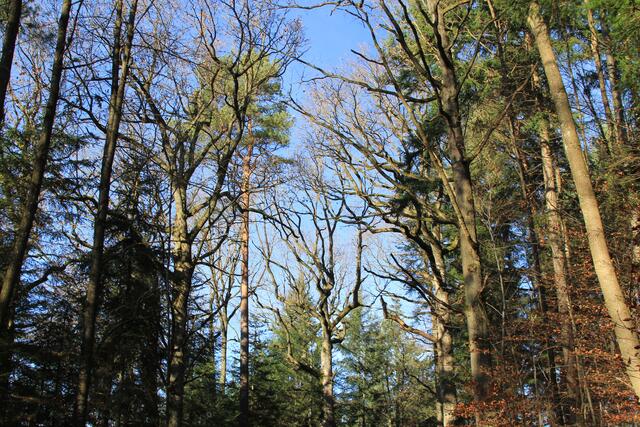 herrlich | Foto: Ralf Röser