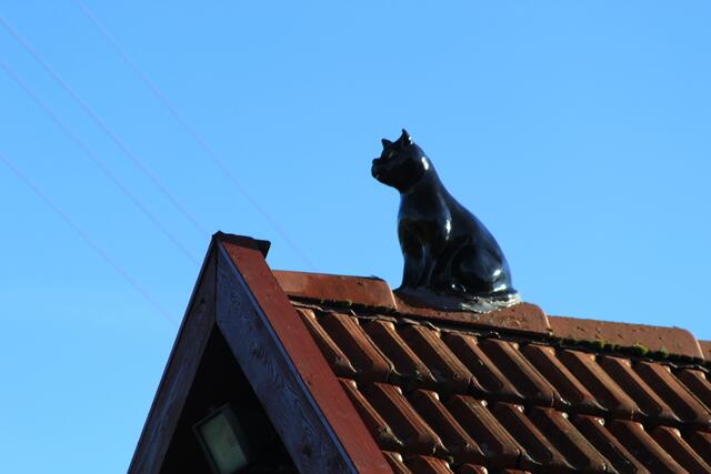 Miau | Foto: Ralf Röser