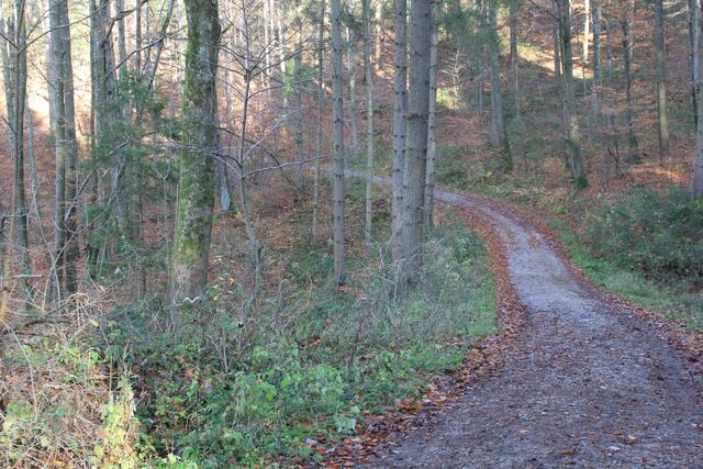 da runter | Foto: Ralf Röser