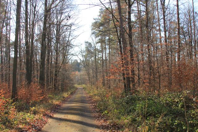 tolle Farben | Foto: Ralf Röser