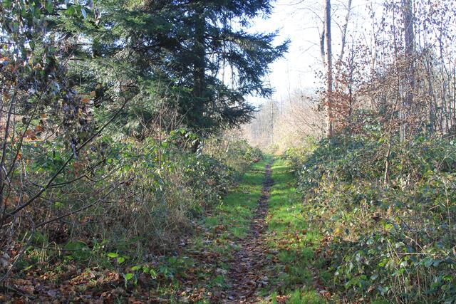 wow | Foto: Ralf Röser