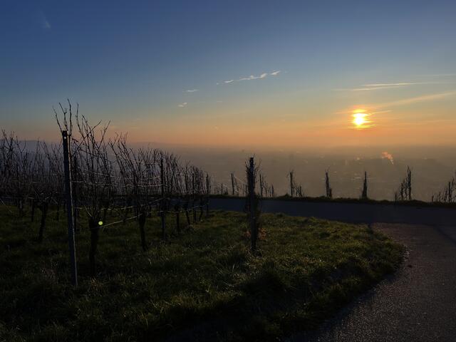 Leuchtkraft der Wintersonne | Foto: Moni Bordt