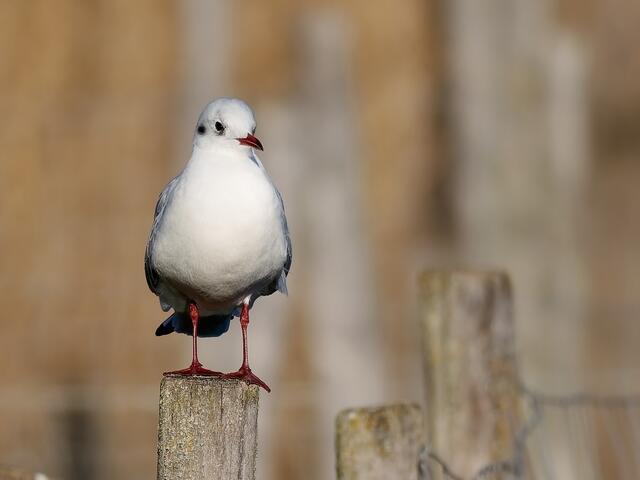 Let's wait and see ... | Foto: Jörg Haffelder