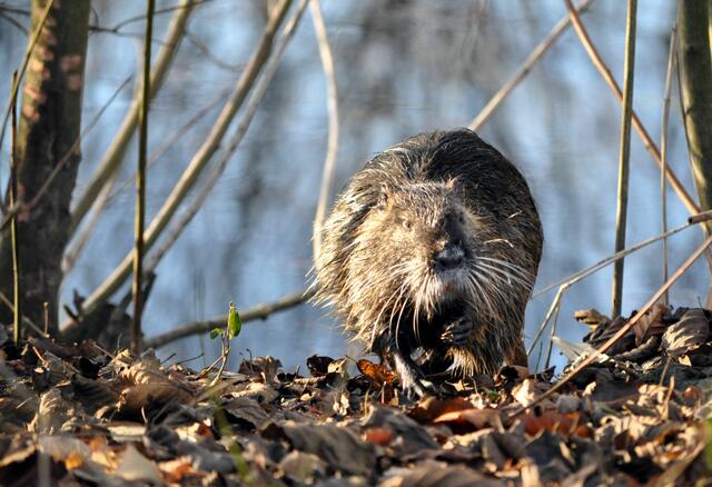 Gibts noch mehr? | Foto: Daniela Somers
