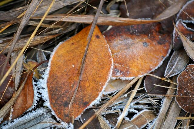 Es ist wohl sonnig, aber auf dem Boden sieht man wie kalt es im Schatten noch ist. | Foto: Daniela Somers