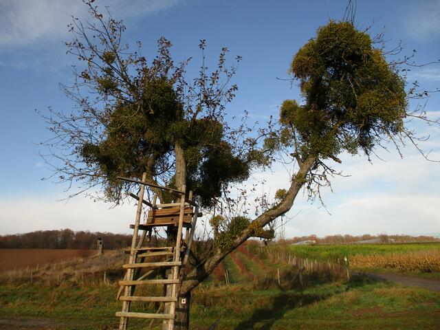 Foto: Wandern Gaby Erich