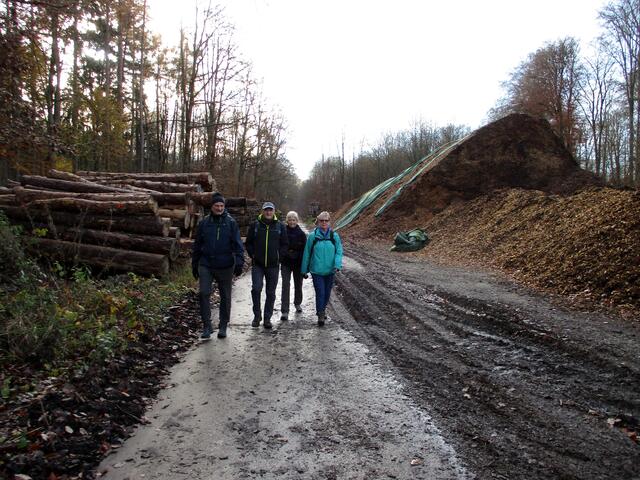 Die ehemalige Autobahn wird als Zufahrt zum Wald und Häckselplatz genutzt. | Foto: Wandern Gaby Erich