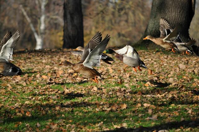 Abflug | Foto: Daniela Somers