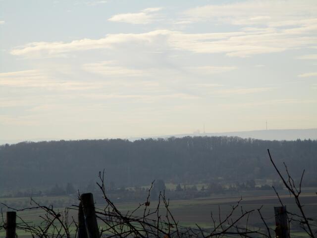 Am Horizont der Fernsehturm | Foto: Wandern Gaby Erich