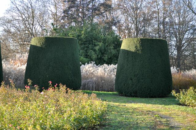 Die wogenden Gräser geben einen guten Kontrast zum streng geschnittenen Formgehölz. | Foto: Daniela Somers