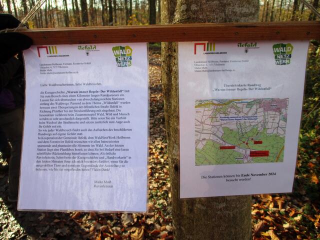 Rundparcour: Wald, Wild und Mensch | Foto: Wandern Gaby Erich