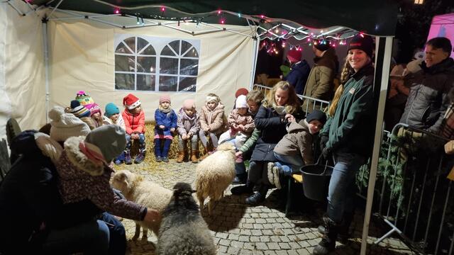 Die Kinder freuten sich beim Adventsmarkt Brackenheim auf die Schafe vom Tierparadies Tripsdrill beim Api-Stand auf dem Kirchplatz. | Foto: Johen Baral
