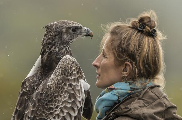 Adler und seine Meisterin | Foto: Egon Groß
