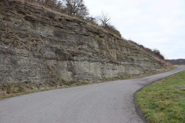 Muschelkalkwand | Foto: Marga Specht