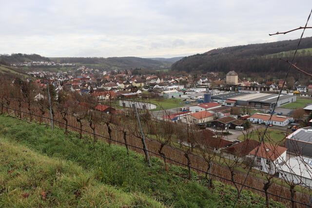 Blick auf Dörzbach vom Altenberg | Foto: Marga Specht