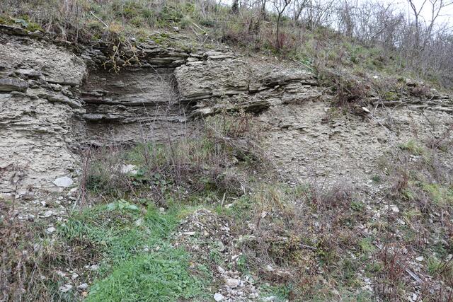 Gesteinsschichten | Foto: Marga Specht