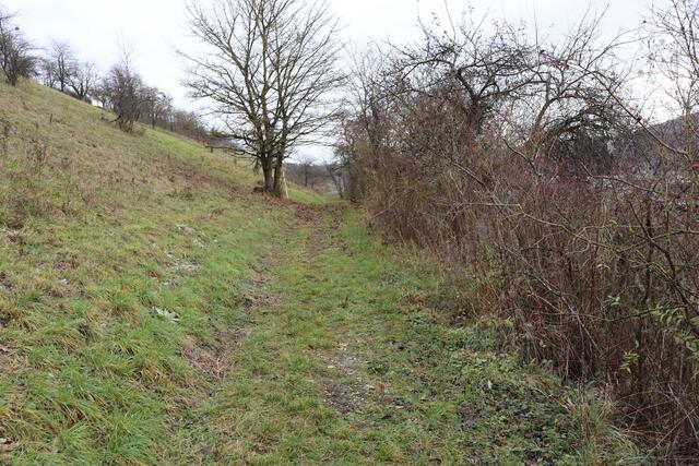 Kulturwanderweg von Klepsau nach Dörzbach | Foto: Marga Specht