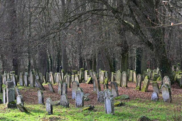 Der Friedhof wurde erstmals 1586 schriftlich erwähnt. | Foto: Michael Harmsen