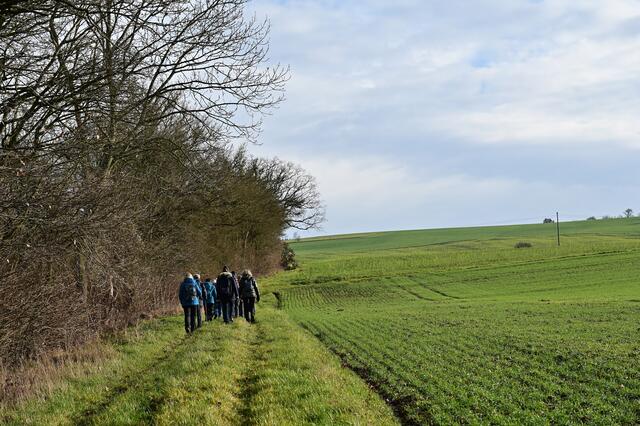 Die andere Gruppe erklimmt die Höhe und läuft den längeren Weg. | Foto: Michael Harmsen