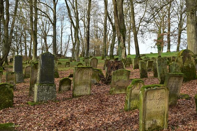 Der Friedhof hat eine Fläche von 14.793 m2, heute sind noch 1.197 Grabsteine vorhanden. | Foto: Michael Harmsen
