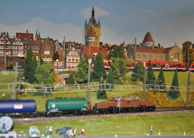 Und oft sieht man die Züge auch gleichzeitig auf verschiedenen Gleisen. | Foto: Daniela Somers