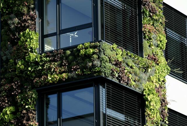 Natürlich trifft auf urban: Bei dieser Hauswand in Heilbronn harmonieren die Pflanzen gut mit den schlichten Glasfenstern. | Foto: Elektra Domesle