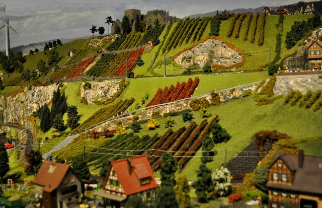 Natürlich dürfen Weinberge in unsere Gegend nicht fehlen. | Foto: Daniela Somers