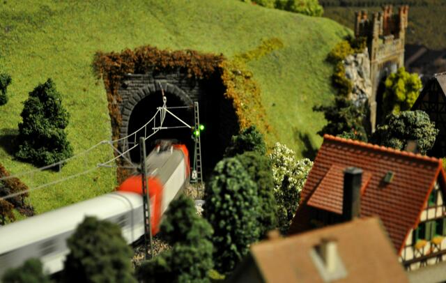 Schon wieder weg. | Foto: Daniela Somers