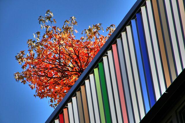 Bunt und modern: Fassadenkunst am Marrahaus in Heilbronn. | Foto: Andreas Boy