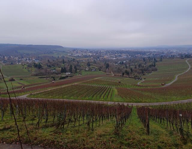 Blick über Heilbronn | Foto: E. Rosendorf