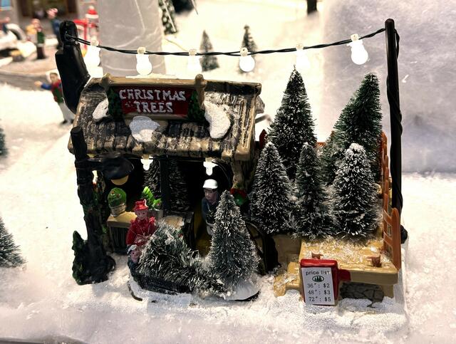 Miniatur Ausstellung | Foto: Heide Böllinger aus Bad Friedrichshall