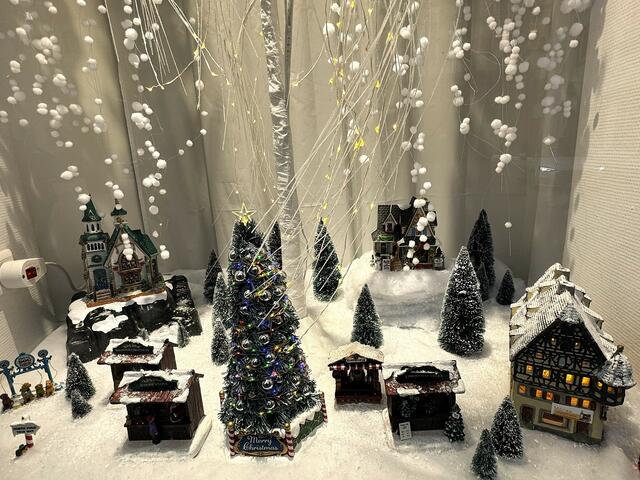 Miniatur Ausstellung | Foto: Heide Böllinger aus Bad Friedrichshall