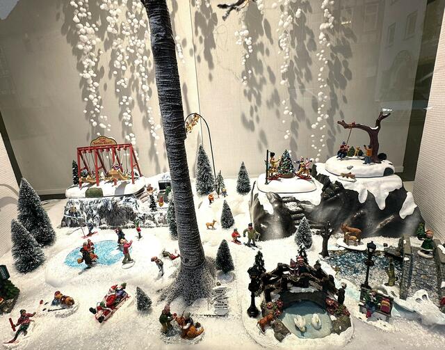 Miniatur Ausstellung | Foto: Heide Böllinger aus Bad Friedrichshall