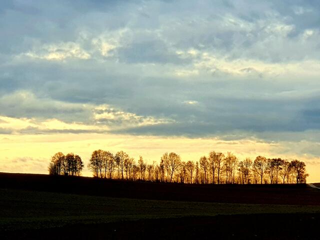 Abendsonne bei Kirchhausen | Foto: JuKo