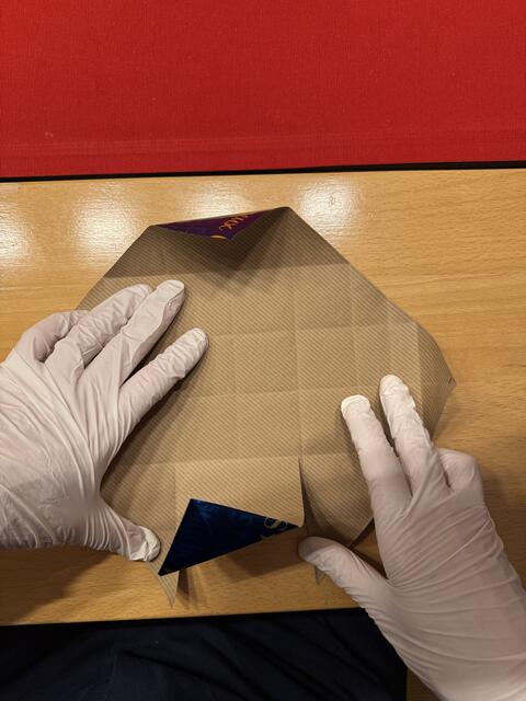 Foto: Heide Böllinger aus Bad Friedrichshall