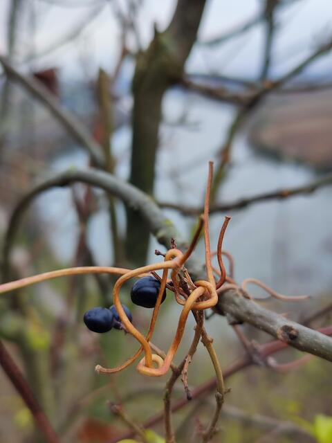 Das Auge fürs Detail | Foto: Aurelia Kling