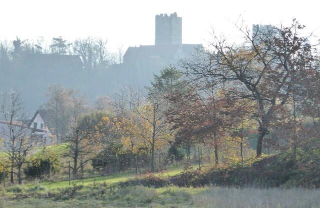 Neipperg im Herbstlicht | Foto: JuKo