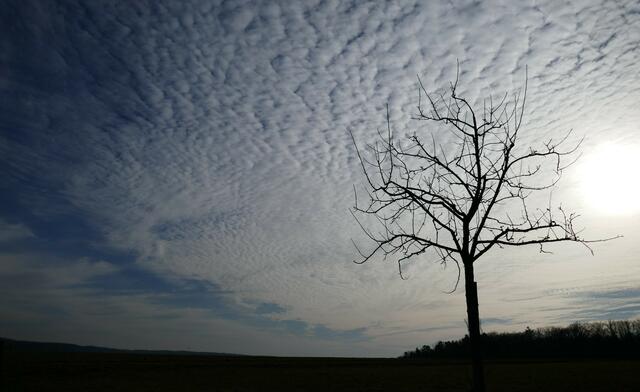 Lichtspiel mit Wolken und Baum | Foto: JuKo